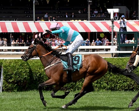 Jimmy P repeats in the Jonathan Sheppard Handicap at Saratoga Race Course