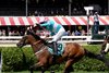 Jimmy P wins the 2025 Jonathan Sheppard Handicap at Saratoga Race Course
