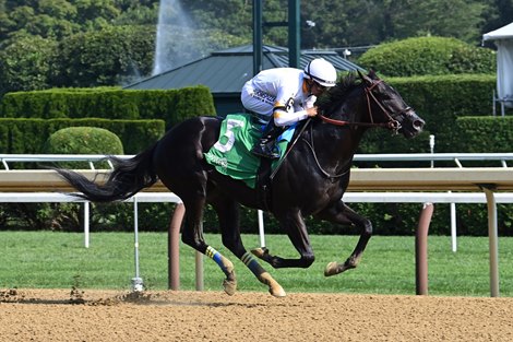 It's Our Time Tops Champagne After Lopsided Maiden Win - BloodHorse