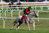 Sandman, works on the Oklahoma Training Center turf course with jockey Jose Ortiz  Sunday  Aug.10, 2025 in Saratoga Springs, N.Y.   Skip Dickstein photo