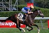 Time to Dream wins the P. G. Johnson Stakes on Wednesday, August 27, 2025 at Saratoga Race Course
