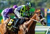 Om N Joy wins the Torrey Pines Stakes