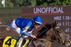 Sovereignty with Junior Alvarado wins the DraftKings Travers S. (Grade I) at Saratoga Race Course in Saratoga Springs, NY., on August 23rd, 2025.