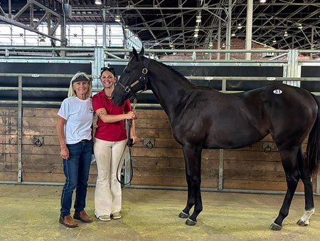 The Take Charge Indy filly consigned as Hip 31 at the ITBOA Fall Mixed Sale