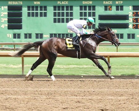 Blackout Time is alone at the wire in his maiden victory at Ellis Park