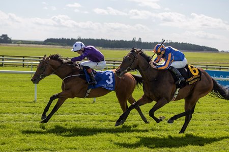 Power Blue holds off True Love to win the Phoenix Stakes at the Curragh
