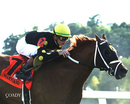 Chasing the Crown wins a handicap at Kentucky Downs