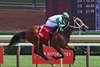 Mythical wins the 2025 Adirondack Stakes at Saratoga