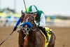Legacy Ranch’s Sammy Davis and jockey Hector I. Berrios win the $100,000 Graduation Stakes Friday, August 8, 2025 at Del Mar Thoroughbred Club, Del Mar, CA.  The two-year-old California-bred son of Sir Prancealot is trained by John Sadler.
Benoit Photo