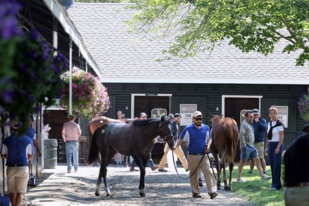 Fasig-Tipton Saratoga sale grounds