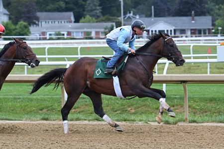 Sovereignty gallops at Saratoga Race Course