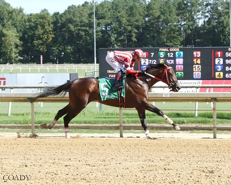 Chado wins under a hand ride at Colonial Downs