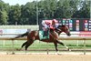 Chado, Starter Allowance, Colonial Downs, August 22 2025