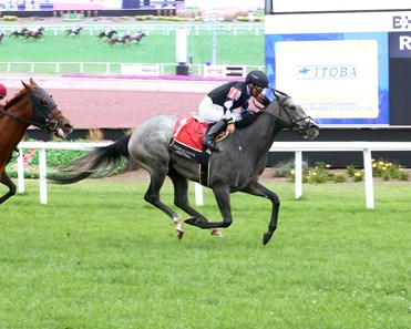Annie Express - Horse Profile - BloodHorse