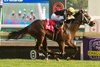 Jockey Rafael Hernandez guides Two Out Hero to victory in the world $150,000 Soaring Free Stakes for owner Gold Square LLC and trainer Kevin Attard. Woodbine/Michael Burns Photo