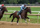 Sovereignty with regular exercise rider Neil Poznansky aboard leads his work mate Fort Nelson with Sovereignty’s regular jockey Junior Alvarado in the saddle for his final breeze before the Travers Stakes Saturday August 16,  2025 in Saratoga Springs, N.Y.  Skip Dickstein Photo