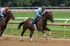 Sovereignty with regular exercise rider Neil Poznansky aboard leads his work mate Fort Nelson with Sovereignty’s regular jockey Junior Alvarado in the saddle for his final breeze before the Travers Stakes Saturday August 16,  2025 in Saratoga Springs, N.Y.  Skip Dickstein Photo