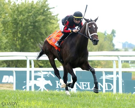 Stellify wins an allowance race on opening day at Kentucky Downs