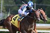 Talkin, Maiden Win, Saratoga Race Course, August 30 2025