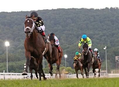 Emmanuel - Horse Profile - BloodHorse