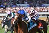 World Beater wins the 2025 Saratoga Derby Invitational Stakes at Saratoga Race Course