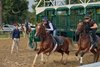 Trainer Miguel Clement watches as Go Go Boots (outside) and Loveontheleftbank break from the gate on the Oklahoma Training Track at Saratoga Race Course