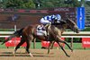 Kilwin wins the 2025 Test Stakes at Saratoga Race Course