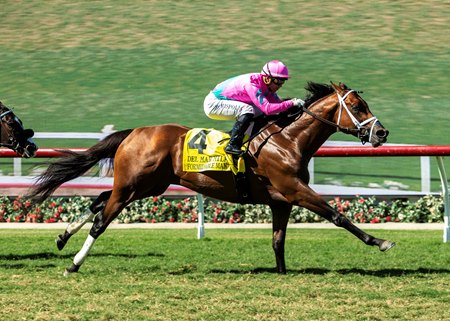 Formidable Man wins the Del Mar Mile Stakes at Del Mar