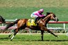 Formidable Man and jockey Umberto Rispoli win the Grade II $300,000 Del Mar Mile Saturday, August 30, 2025 at Del Mar Thoroughbred Club, Del Mar, CA.  
Benoit Photo