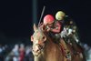 Banishing wins the 2025 Charles Town Classic Stakes at Charles Town