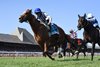 World Beater wins the 2025 Saratoga Derby Invitational Stakes at Saratoga Race Course