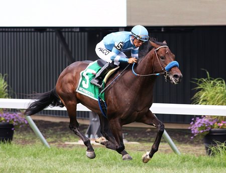 Hey Nay Nay romps in the Tyro Stakes at Monmouth Park