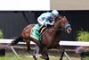 Hey Nay Nay #5 with Paco Lopez riding ships in from California for trainer John Sadler to win the $100,000 Tyro Stakes for two-year-olds at Monmouth Park Racetrack in Oceanport, NJ on Saturday August 2, 2025. Photo By Julia Sebastianelli/EQUI-PHOTO