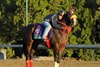 Trinniberg gets a morning hug
Breeders&#39; Cup morning works at Santa Anita near Arcadia, California, on Oct. 30, 2012