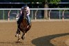 Kentucky Derby, Belmont and Jim Dandy winner Sovereignty, breezes on to the Oklahoma Training Center track Saturday Aug.9, 2025 in Saratoga Springs, N.Y.   Skip Dickstein Photo