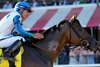 Book&#39;em Danno wins the 2025 Forego Stakes at Saratoga Race Course