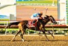 Fierceness and jockey John Velazquez win the Grade I, $1,000,000 Pacific Classic, Saturday, August 30, 2025 at Del Mar Thoroughbred Club, Del Mar CA.
&#169; BENOIT PHOTO