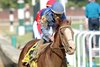 Ragtime wins the 2025 Dogwood Stakes at Churchill Downs