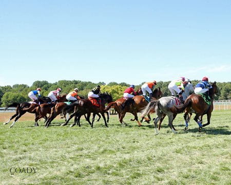 Racing at Kentucky Downs