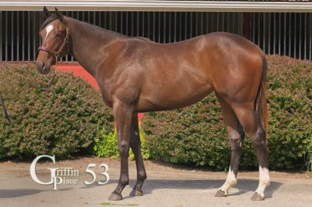 The Straight Fire filly, consigned as Hip 53