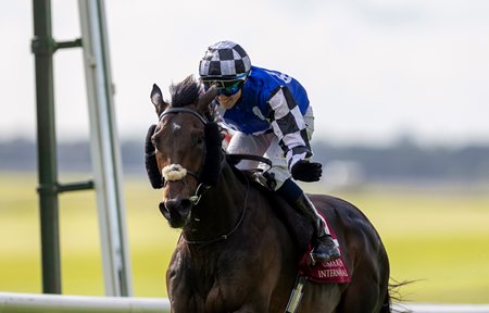 Al Riffa wins the Irish St Leger at The Curragh