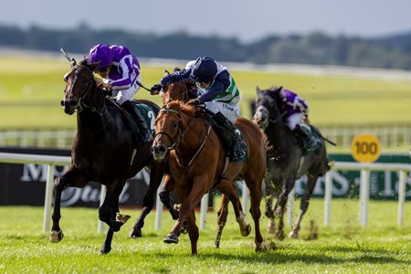 Zavateri (right) wins the National Stakes at The Curragh