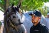Hip 413 colt by Tapit out of Manki at Gainesway, agent, 2025 Keeneland September Yearling Sale