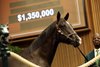 Hip 1066, Mark Taylor consignor, Cash Asmussen buyer, 2025 Keeneland September Yearling Sale