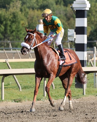 Jockeys ‘Guild on Lopez Suspension:’ au-delà de Ludicrous  »