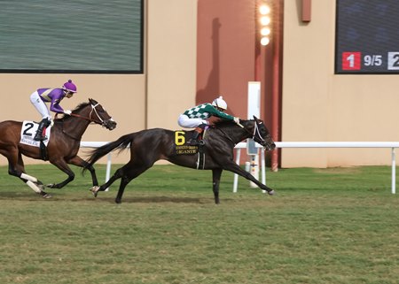 Gigante wins the 2025 Remington Green Stakes at Remington Park