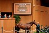 Hip 1762,  2025 Keeneland September Yearling Sale