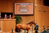 Hip 3056, 2025 Keeneland September Yearling Sale