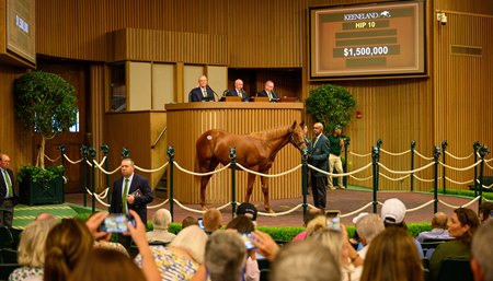 The Flightline colt consigned as Hip 10 in the ring at Keeneland September