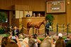 First million dollar yearling through the ring Hip 10 Stock Rising colt by Flightline out of Lady Shipman at VanMeter Sales. 
Keeneland September Yearling Sale at Keeneland in Lexington, Ky., on Sept. 8, 2025.